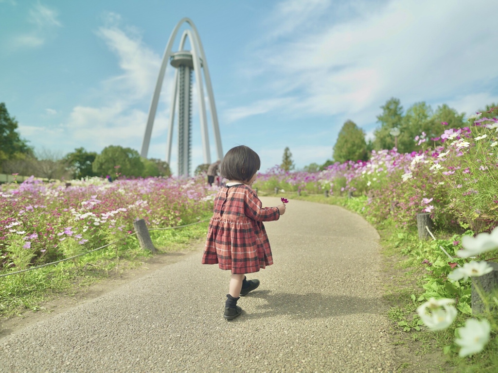 コスモスと138タワー