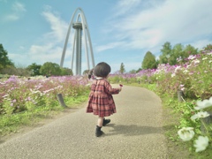 コスモスと138タワー