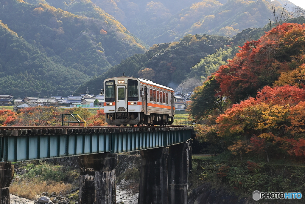 晩秋を走る