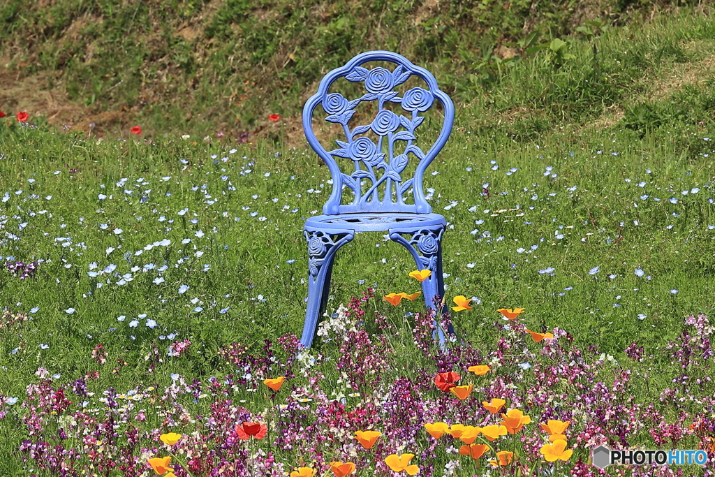 お花畑で一時を