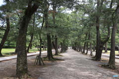 出雲大社‥神の道