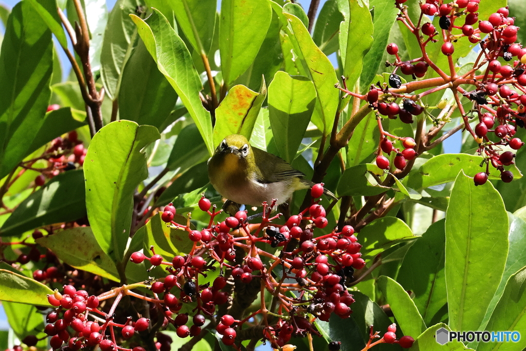 5　何か問題でも？