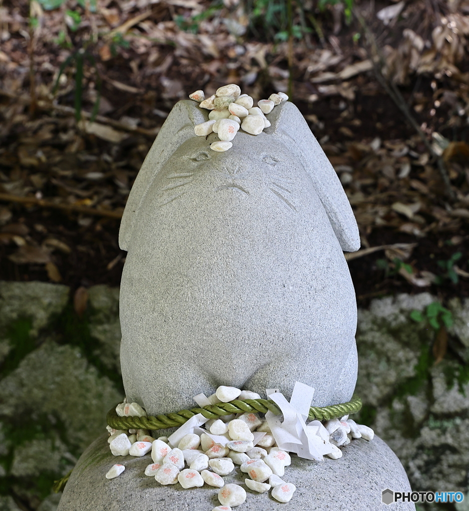 白兎神社うさぎ