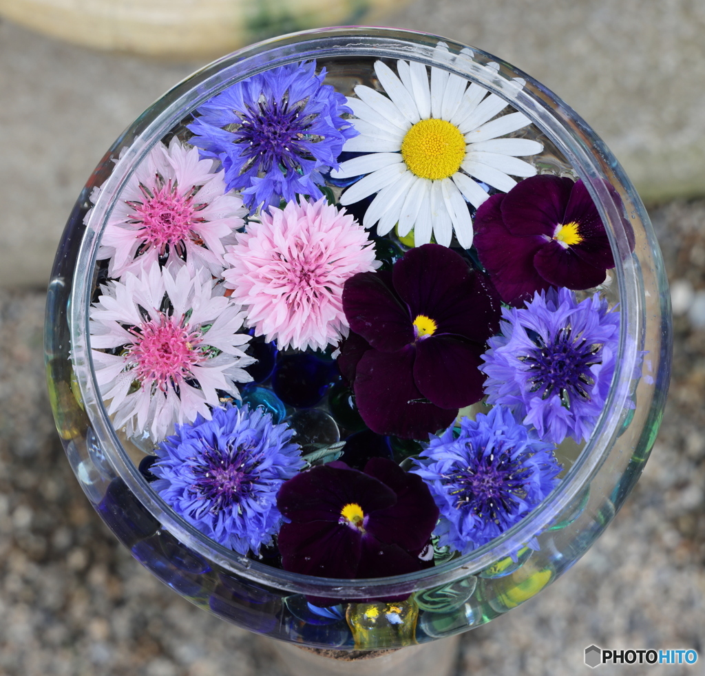 花鉢