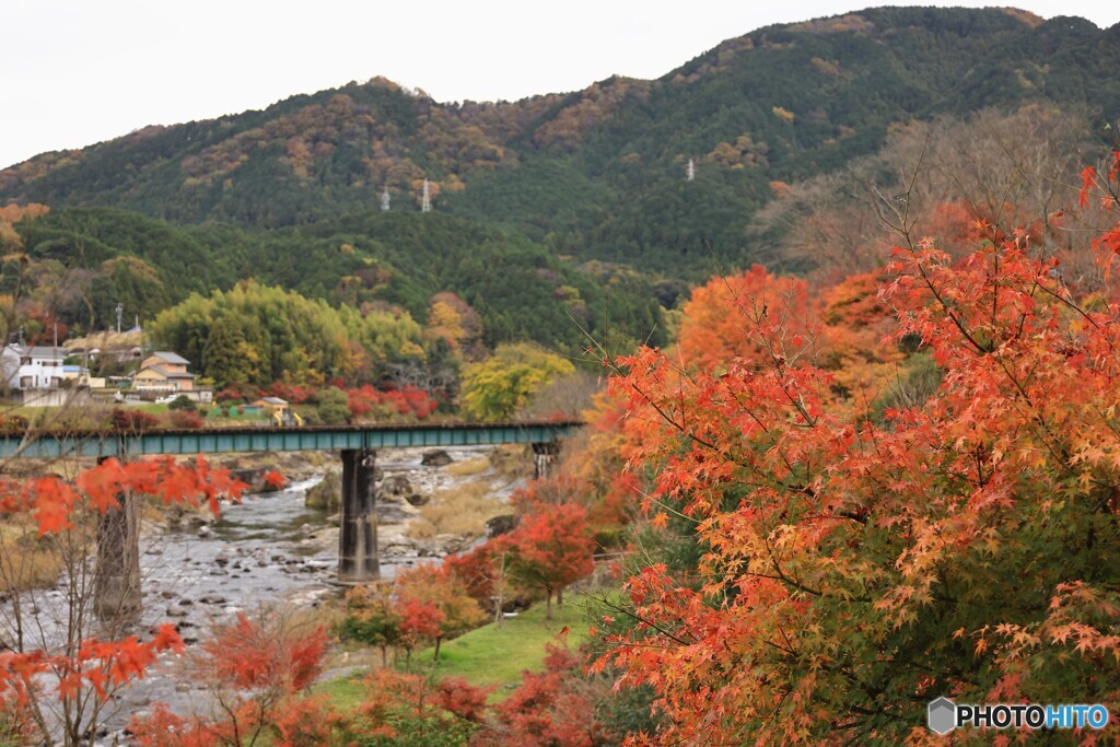 山里の紅葉