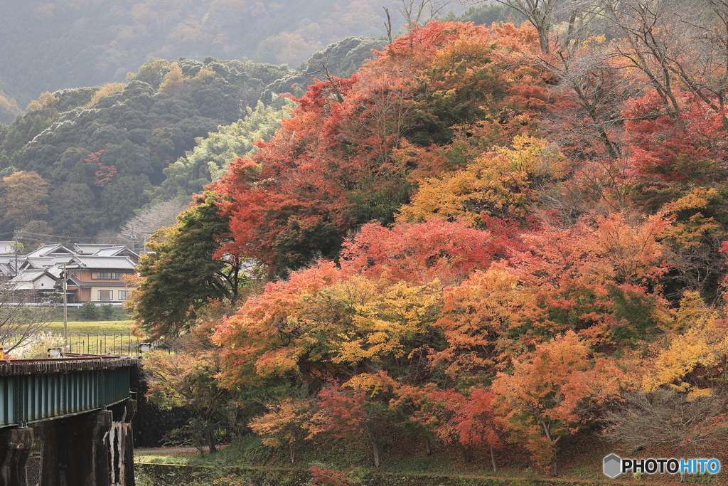 名松線の紅葉