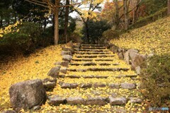 黄葉の階段