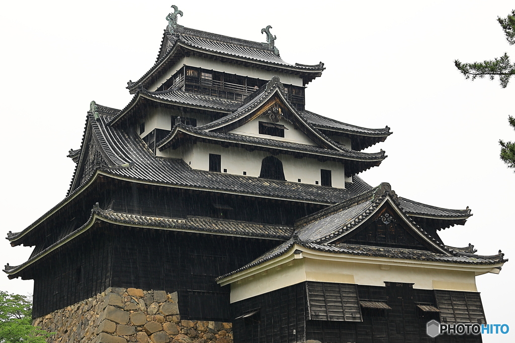 雨の松江城