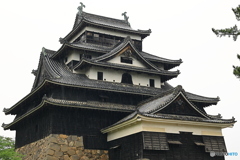 雨の松江城