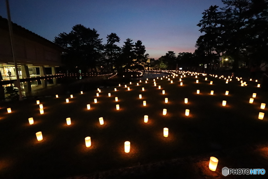 なら燈花会