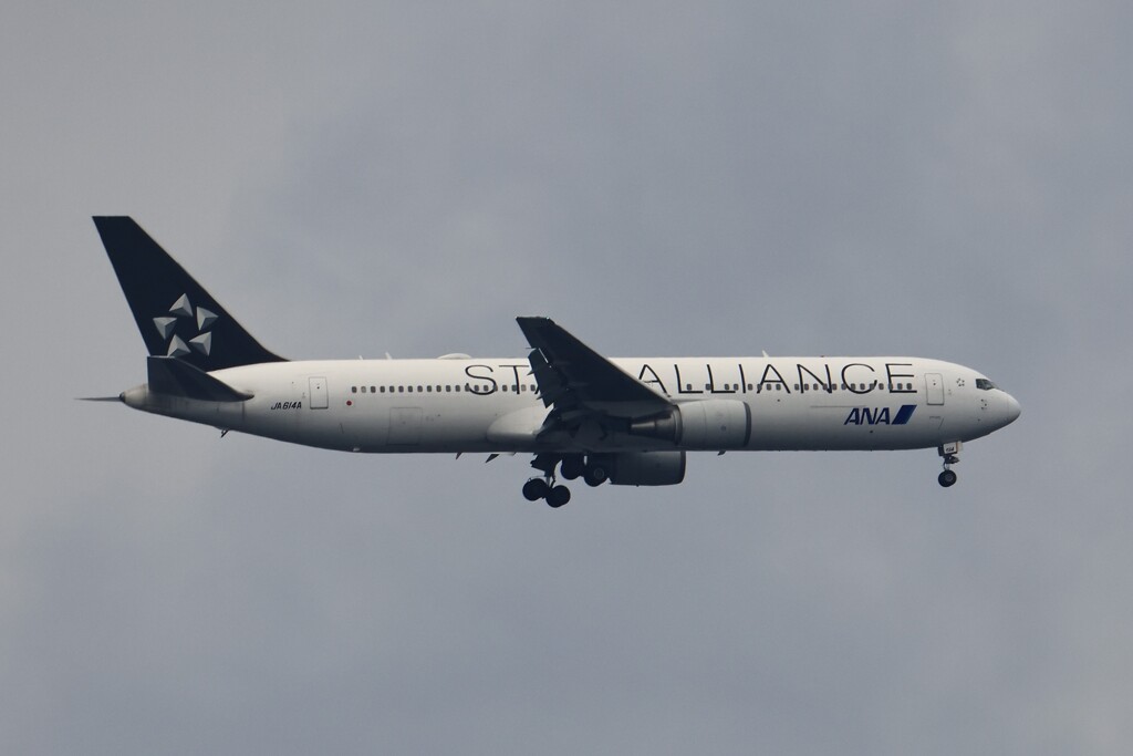 ANA  STAR ALLIANCE