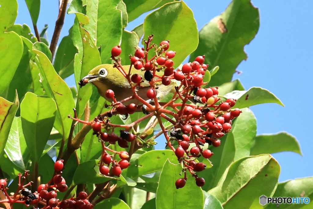 4　うん、美味い