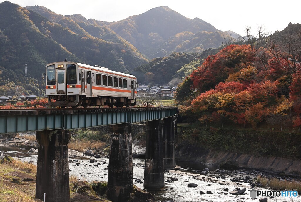 晩秋を走る２