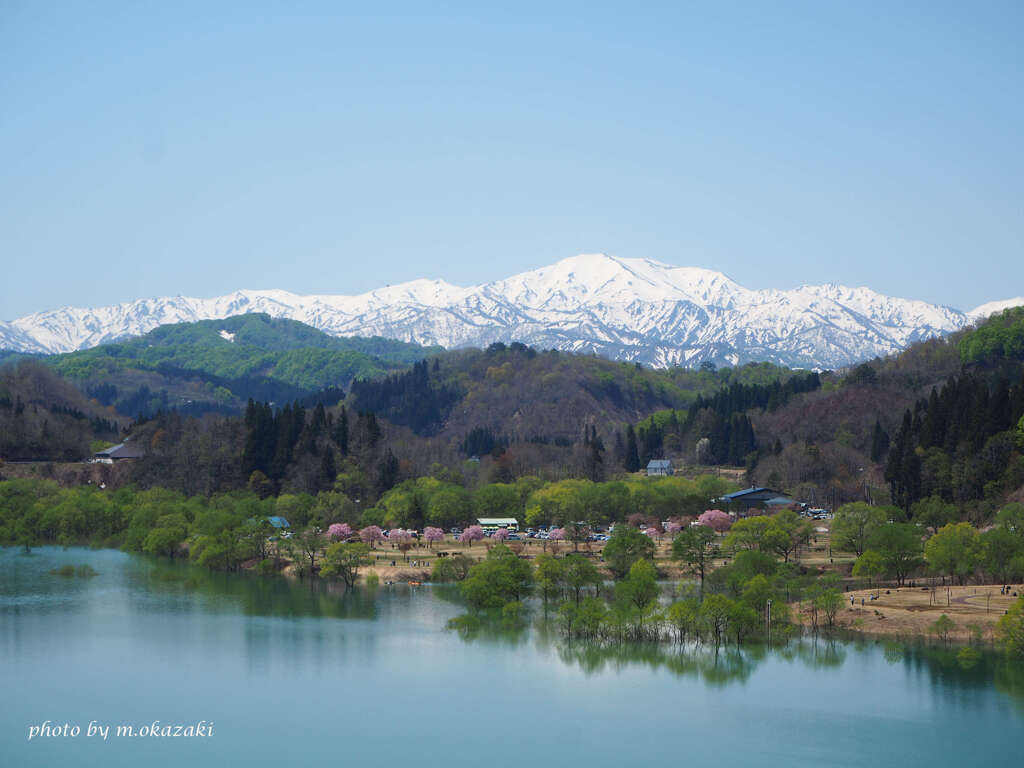 春の白川湖(その2)