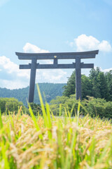 大鳥居