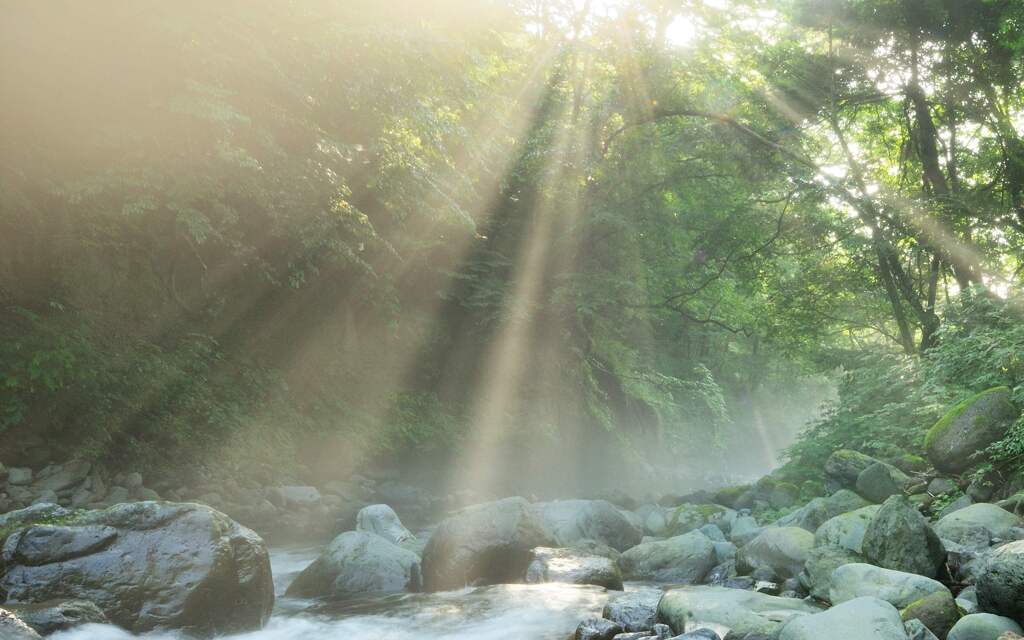 尚仁沢光芒