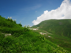 夏雲湧いて