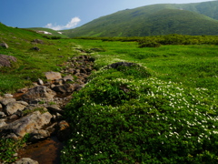 月山夏行