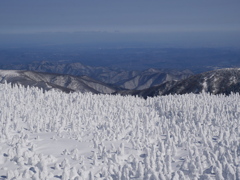 樹氷の山から