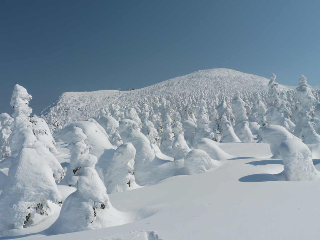 樹氷原から蔵王山