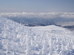 Clear View