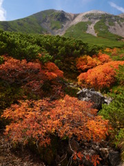 乗鞍 剣ヶ峰を望む