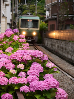 路地裏電車