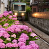 路地裏電車