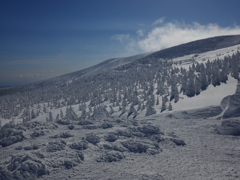 風雪の軌跡