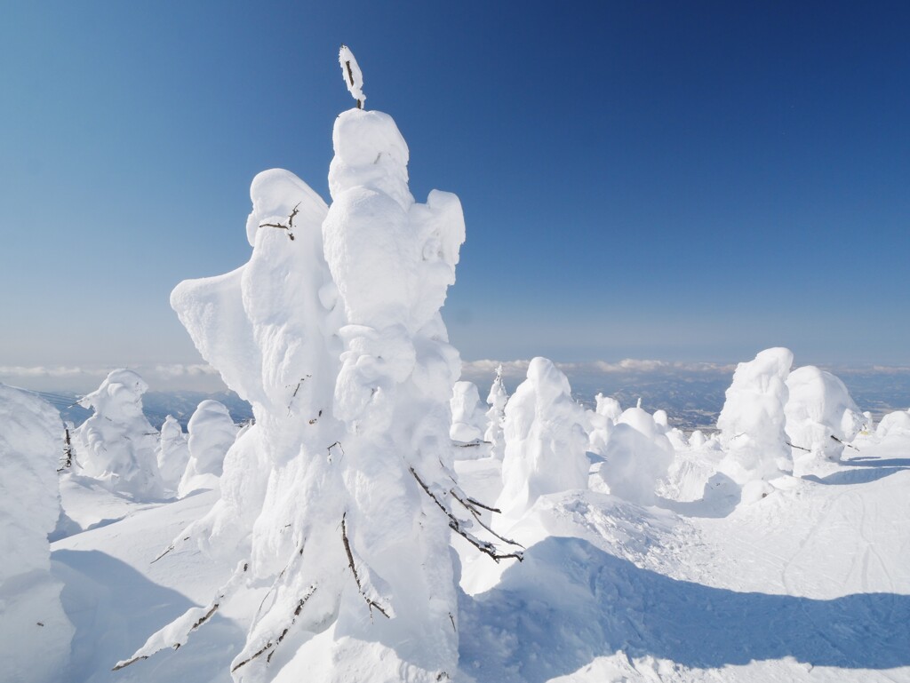 雪の武人