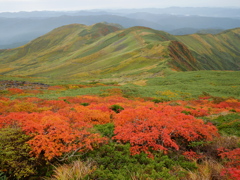 錦秋月山