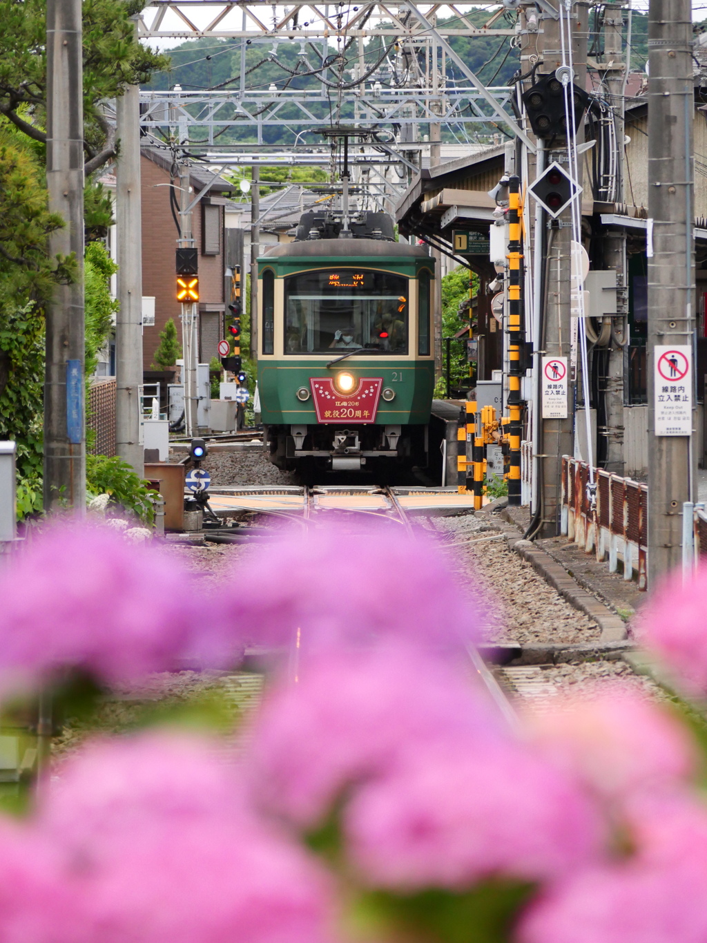 ６月の江ノ電