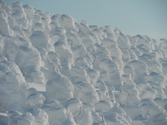 雪の巨人たち