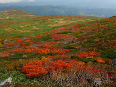 月山紅葉めぐり