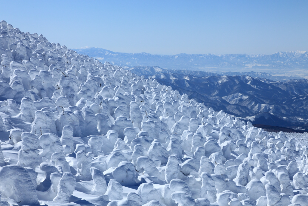 樹氷の山