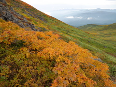 黄葉の山々