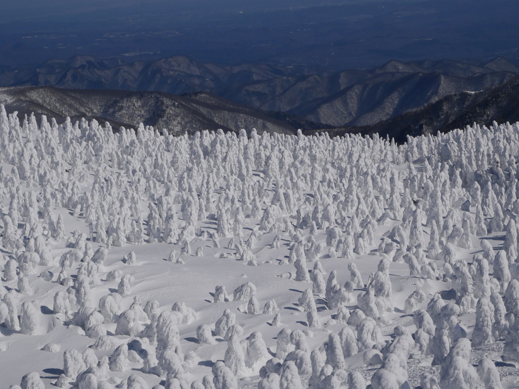 もう一方の樹氷原