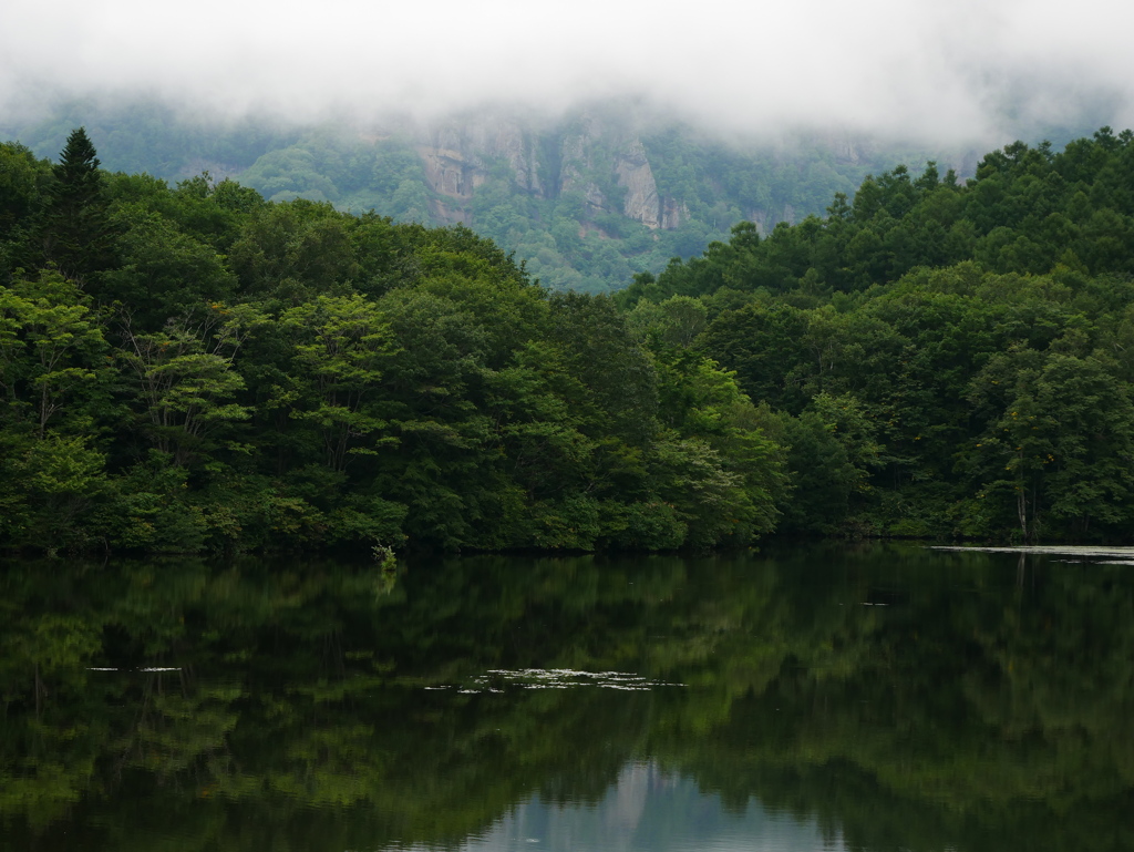 幻想の池