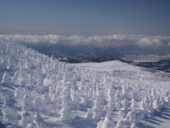 樹氷原を越えて