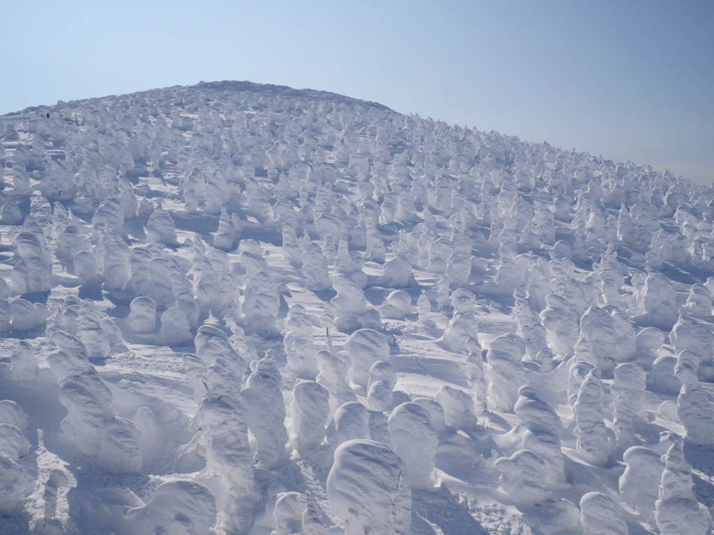 樹氷の山