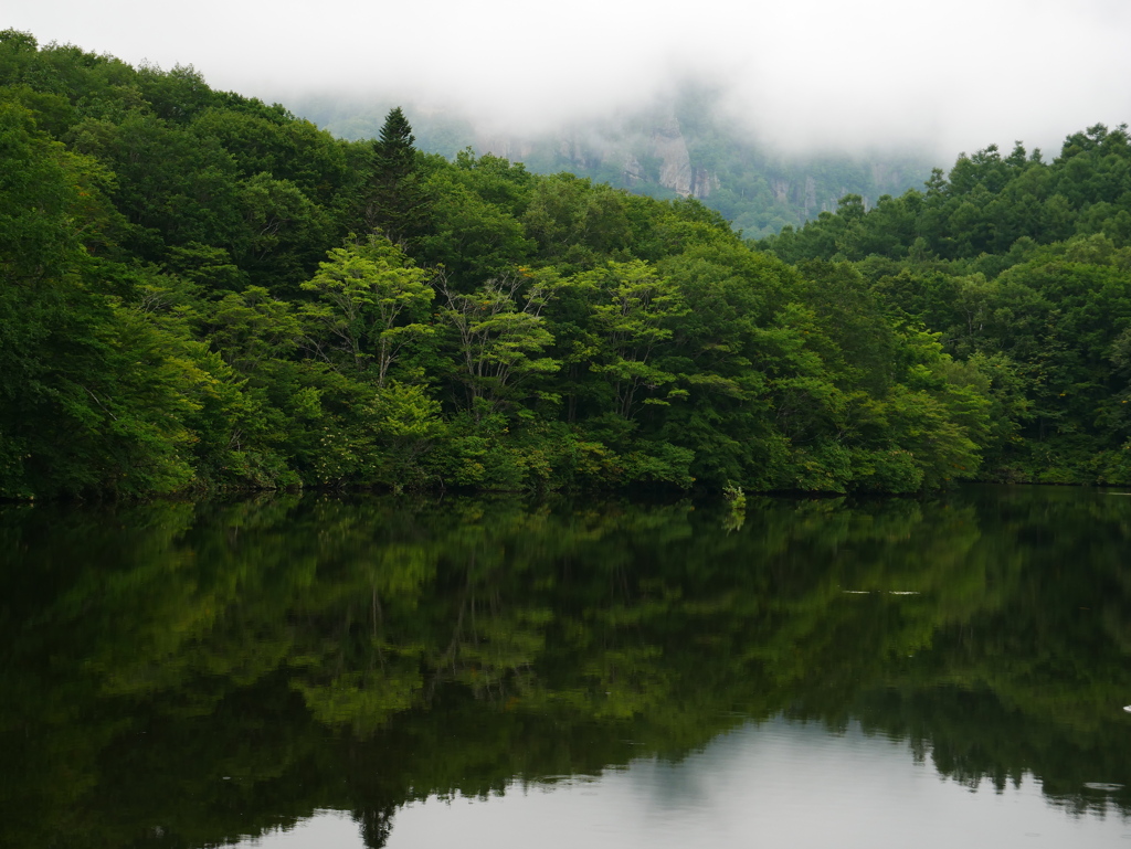 夏の鏡池