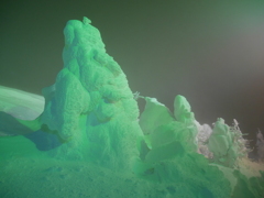 夜の樹氷
