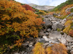 黄葉の登山道