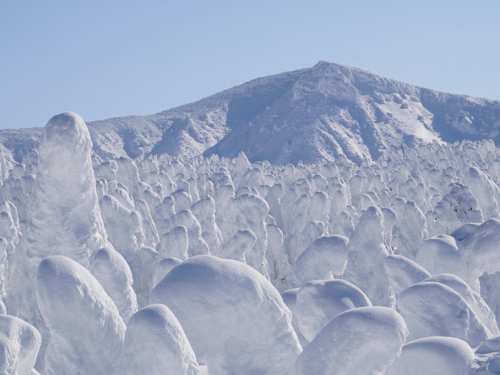 樹氷の向こうの熊野岳