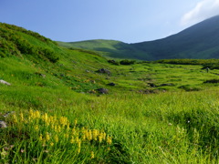 月山 夏