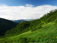 雲の上