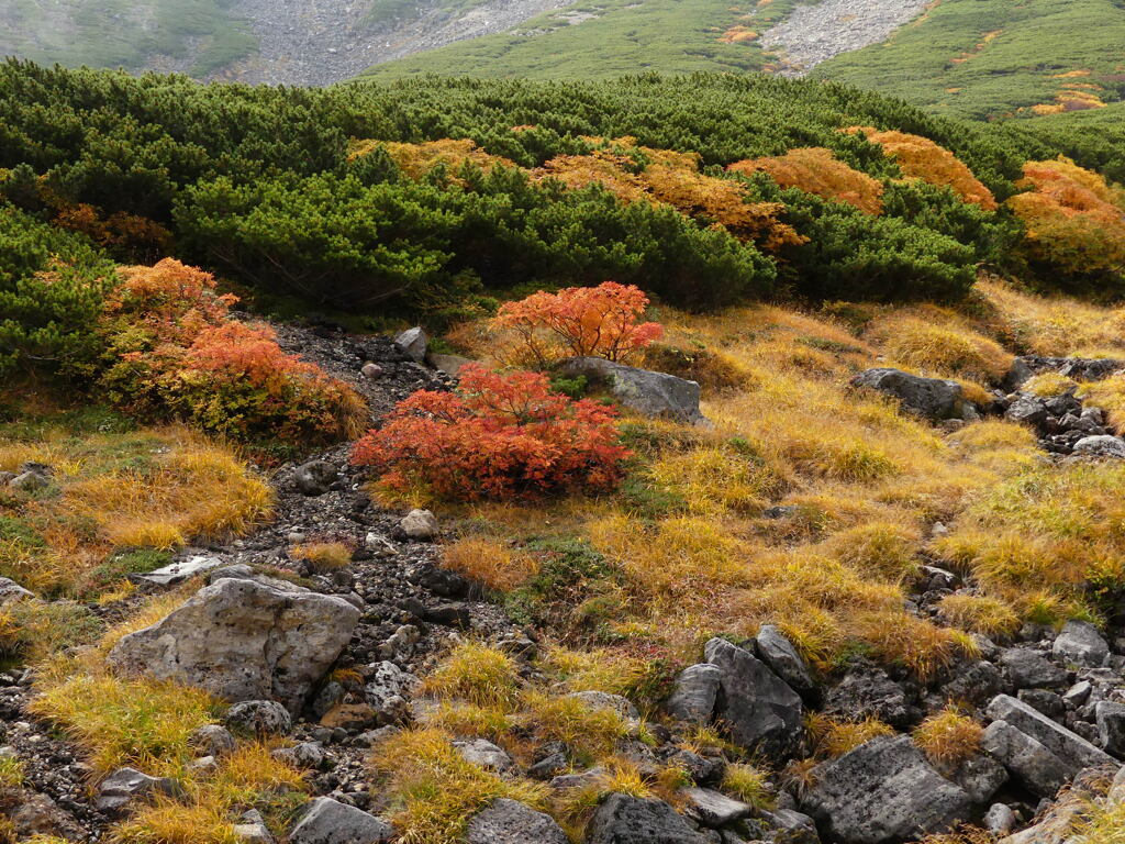 三色の山