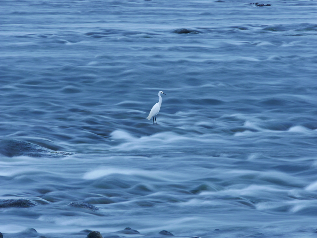 流れに佇む