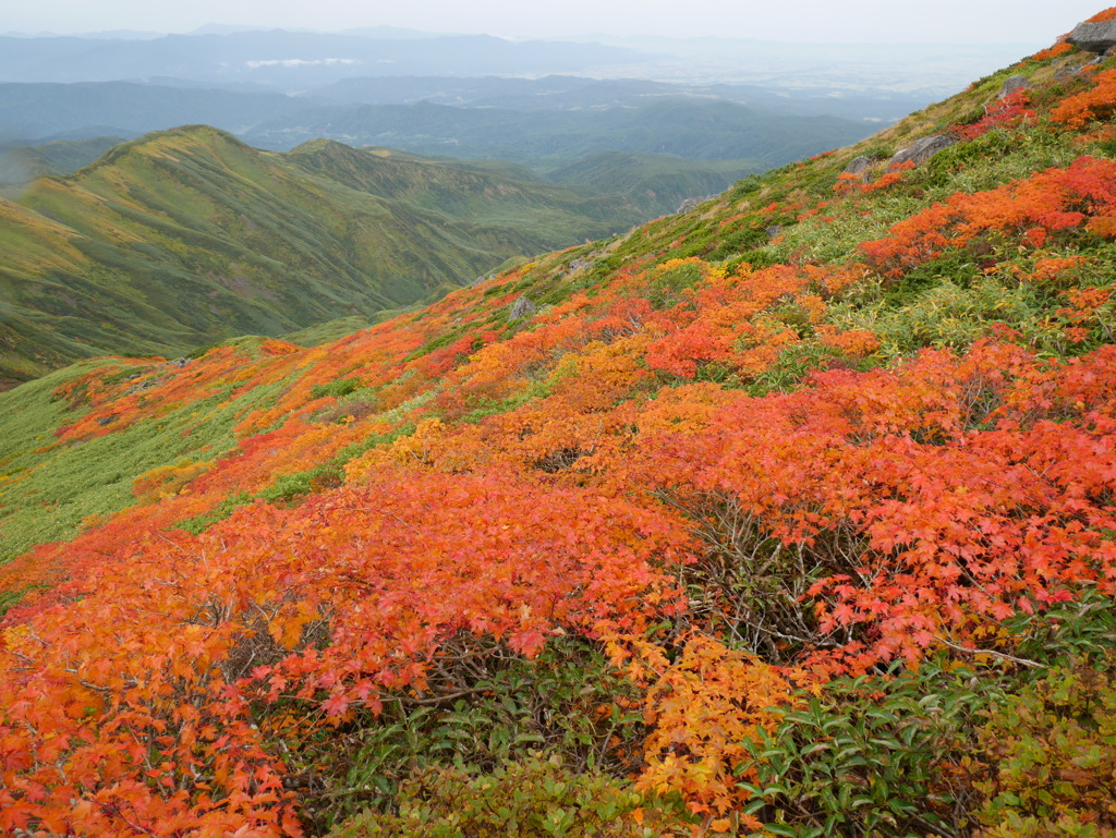 錦秋の峰