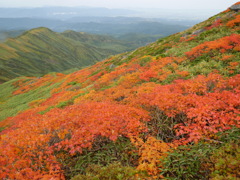 錦秋の峰